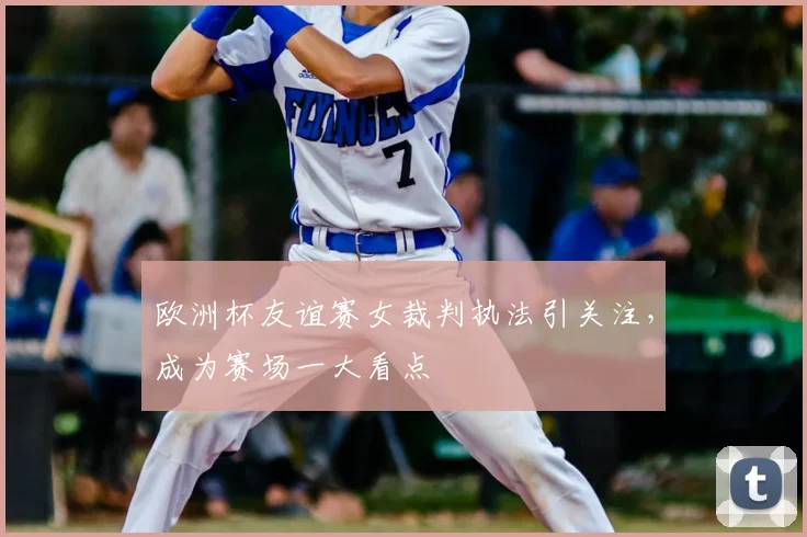 欧洲杯友谊赛女裁判执法引关注,成为赛场一大看点