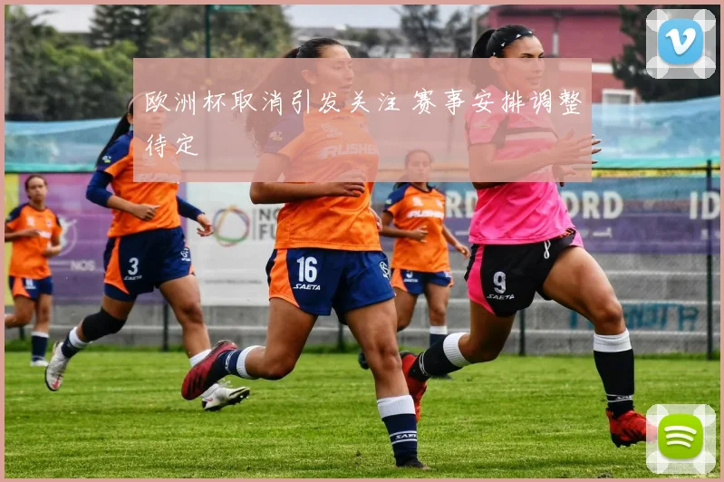欧洲杯取消引发关注 赛事安排调整待定