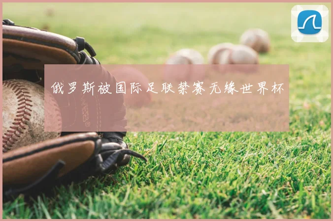 俄罗斯被国际足联禁赛无缘世界杯
